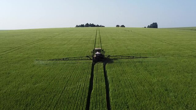 Aplica&ccedil;&atilde;o de defensivo com pulverizador em lavoura de trigo com drone