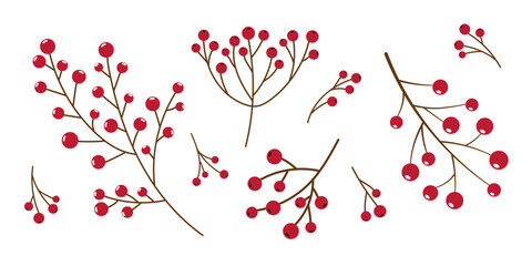 Collection of Branches with red Berries Isolated on white. Winter Christmas Decoration for gift wrapping, wreath, plant garland. Natural element for Design
