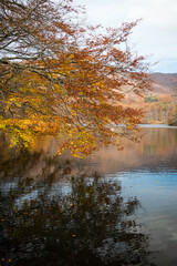 Fall colors reflected in the still waters of Morske oko lake, Slovakia