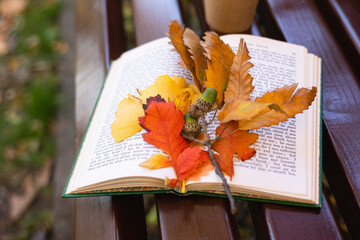 A book with autumn leaves on a bench in the park