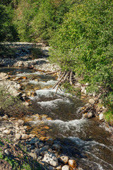 shallow alpine river with a fast flow and stones on the bank