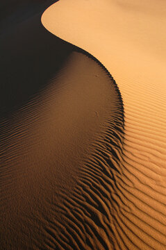 sand dunes in the desert 