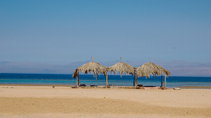umbrellas on the beach