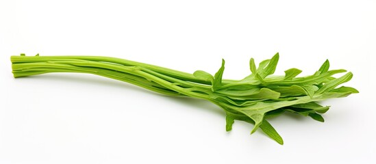 Obraz premium A white background with a fresh celery stem in vibrant green color