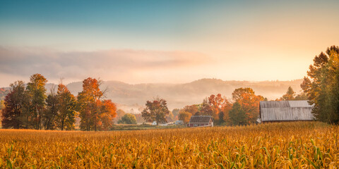 Misty autumn morning on a farm field in Vermont