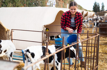Caring young female farmer in plaid shirt giving milk to calves in plastic calf hutch on farm in...