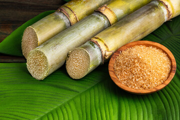 Fototapeta na wymiar Brown sugar with natural cane stems - Saccharum officinarum