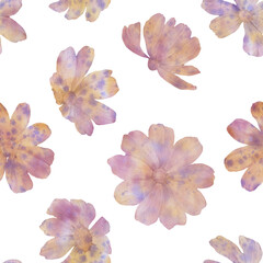 watercolor flowers drawn on paper isolated on white background, seamless pattern