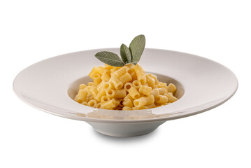 Ditalini Italian pasta, little macaroni topped with butter and sage sauce in white plate with sage leaves, isolated