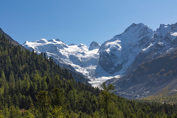 Front view of the Morteratsch Glacier, Bernina group - Switzerland - 674133128