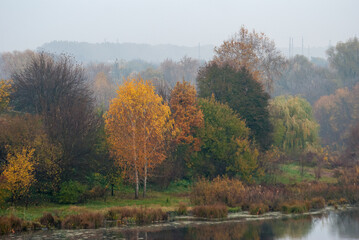 Autumn atmosphere. Yellow trees in the fog on the shore of an autumn lake.