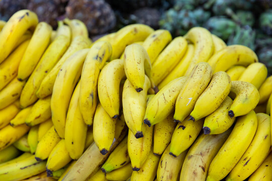 Ripe yellow bananas on counter in greengrocer section at supermarket