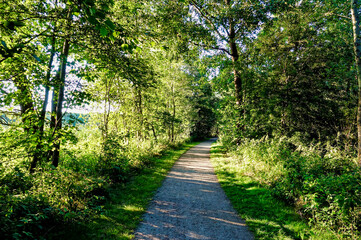 Fototapeta na wymiar path in the park , image taken in rugen, north germany, europe