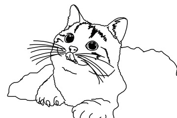 Animal - Pet - Adorable Cat - Kitten - Kitty illustration