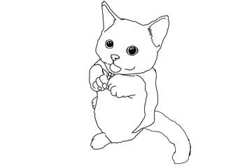 Animal - Pet - Adorable Cat - Kitten - Kitty illustration