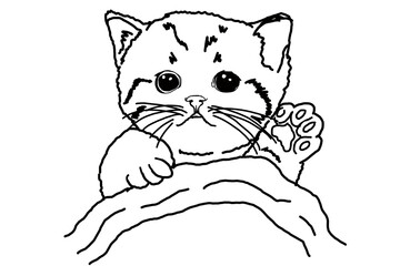 Animal - Pet - Adorable Cat - Kitten - Kitty illustration