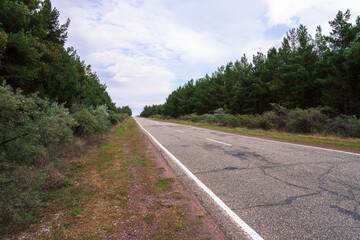 Old asphalt road and forest nearby