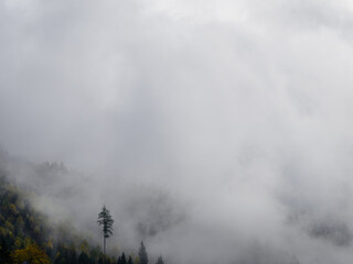 fog in the mountains