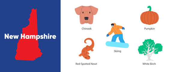 New Hampshire states with symbol icon of chinook pumpkin skiing red-spotted newt white birch illustration