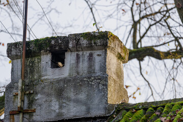 Dirty chimney at the old house close up.