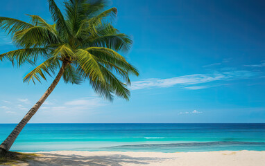 Fototapeta na wymiar Tropical beach with palm tree wallpaper background banner
