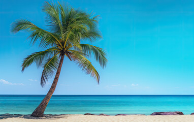 Tropical beach with palm tree wallpaper background banner