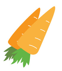 Pair of Carrots