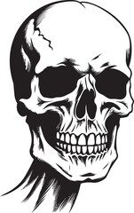 Nocturnal Secrets The Shadowed Emblem Ebon Enigma The Mystic Skull Profile