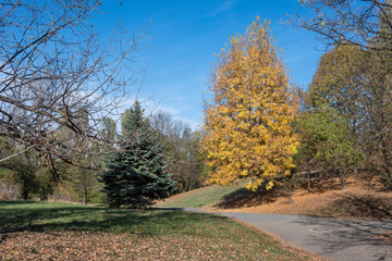 Autumn view of South Park in city of Sofia, Bulgaria