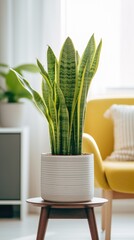 A potted snake plant sitting on a table in a living room.