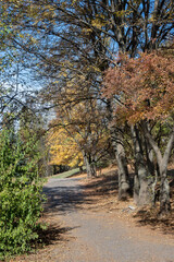 Autumn view of South Park in city of Sofia, Bulgaria