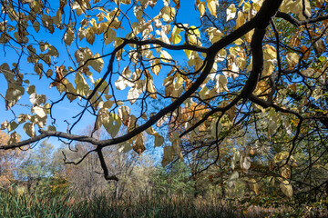 Autumn view of South Park in city of Sofia, Bulgaria