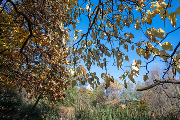 Autumn view of South Park in city of Sofia, Bulgaria