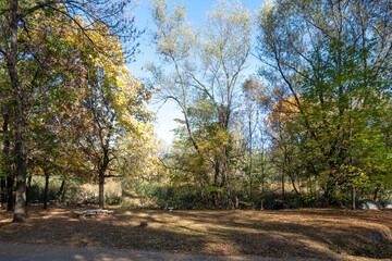 Autumn view of South Park in city of Sofia, Bulgaria