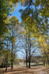 Autumn view of South Park in city of Sofia, Bulgaria