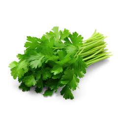 bunch of fresh green juicy parsley isolated on transparent background with soft translucent shadow