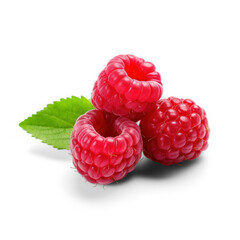 fresh juicy ripe raspberry with leaf isolated with soft transparent shadow
