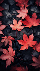 autumn maple leaves on a tinge of carbon black background.