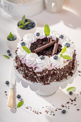 Tasty blueberry cake with whipped cream and berries.