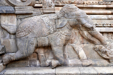 Elephant sculpture carved in staircase of a temple. Bas relief animal sculpture carved in the ancient Airavatesvara Temple in Darasuram, Kumbakonam, Tamilnadu.