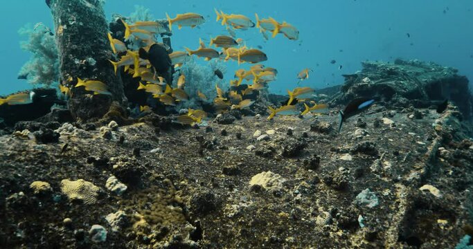 Close shot of the Stella Maru shipwreck in the Indian Ocean.