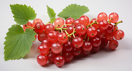 Ideal for your designs, banners or advertising graphics.