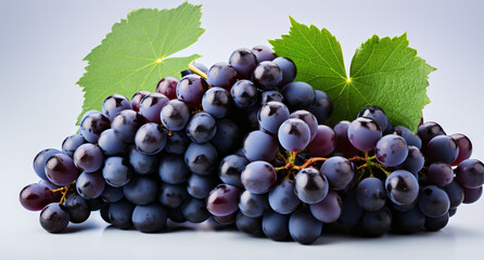 Fototapeta premium Portrait of grape. Ideal for your designs, banners or advertising graphics.