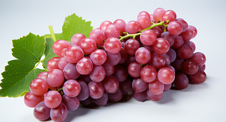 Fototapeta premium Portrait of grape. Ideal for your designs, banners or advertising graphics.