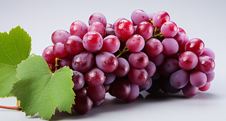Fototapeta premium Portrait of grape. Ideal for your designs, banners or advertising graphics.
