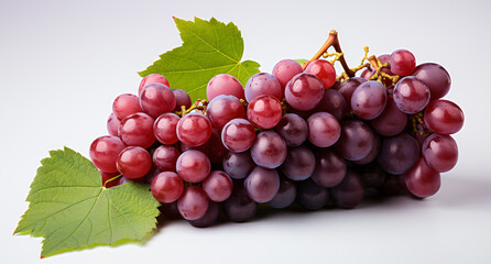 Portrait of grapes. Ideal for your designs, banners or advertising graphics.