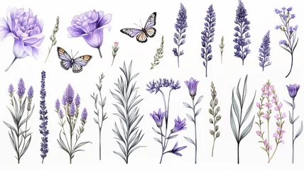 Foto op Plexiglas lavender objects isolated on a white background, blades of grass and flowers in watercolor style, set collection © kichigin19