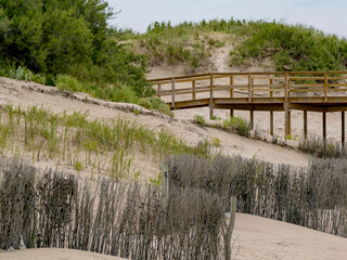 walkway on the beach