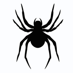 Vector Silhouette of Spider, Creepy Spider Illustration for Arachnid and Halloween Concepts