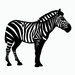 Vector Silhouette of Zebra, Striking Zebra Illustration for Wildlife and Africa Concepts